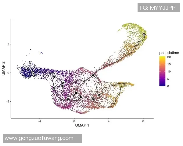 熊猫体育运动轨迹预测模型的构建与应用研究分析